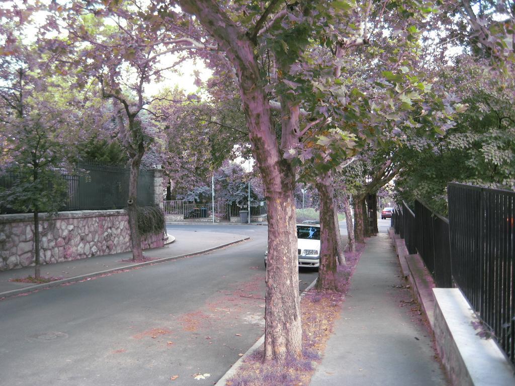 Platan Apartman Budapest Ruang foto